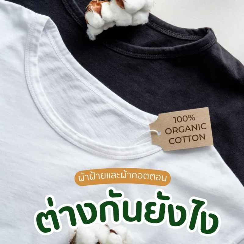ผ้าฝ้ายกับผ้าคอตตอนต่างกันอย่างไร