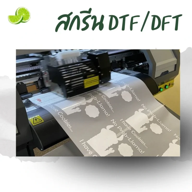 สกรีน DFT