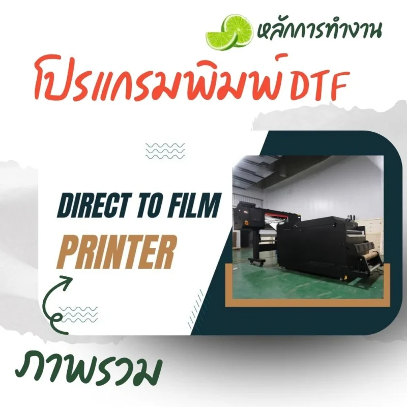 หลักการทำงานของโปรแกรมพิมพ์ DTF